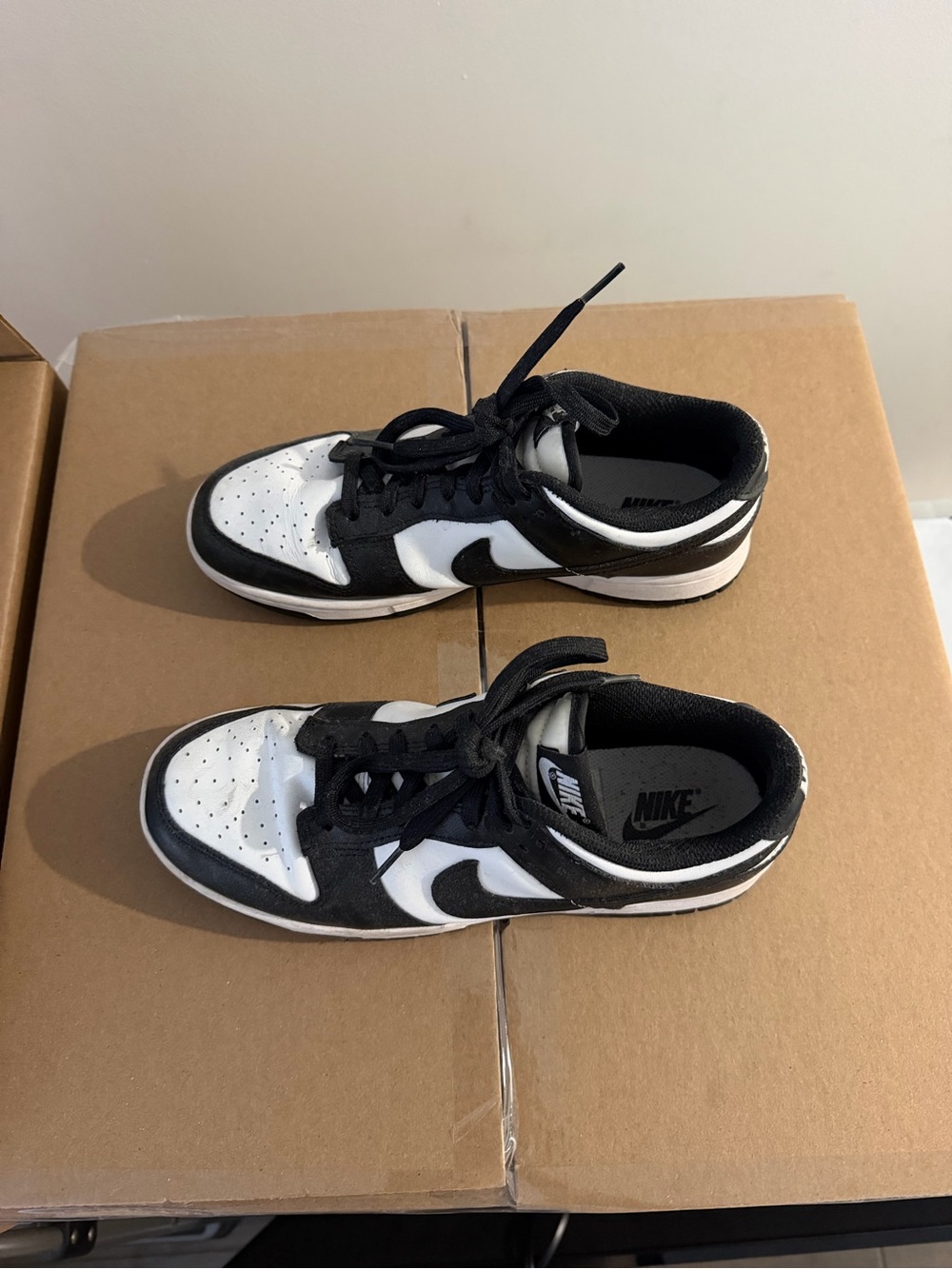 Nike Women’s Low Dunk Shoes